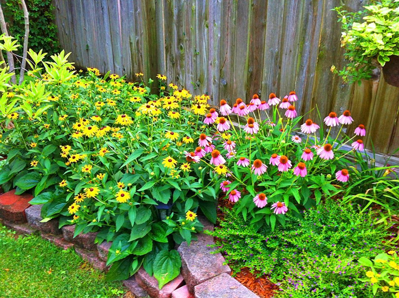 Lyndon House Bed & Breakfast Lexington Bagian luar foto